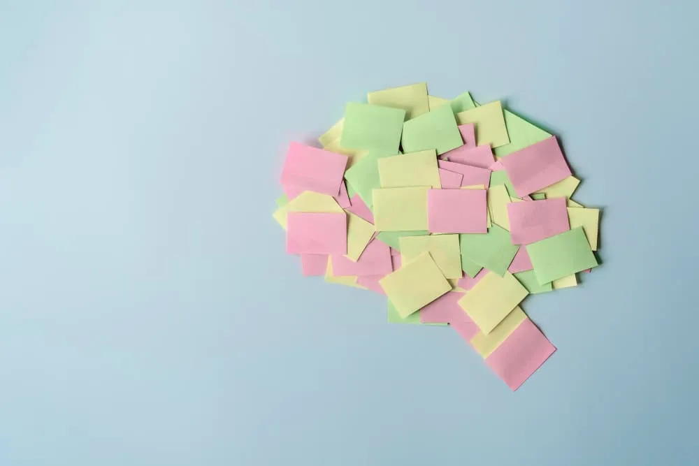 木登りは、ワーキングメモリをも育てる遊び。