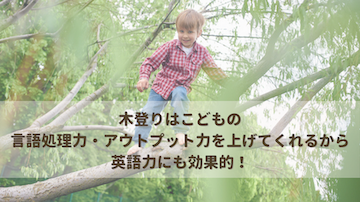 木登りはこどもの言語処理力・アウトプット力を上げてくれる…と英語力にも効果的！