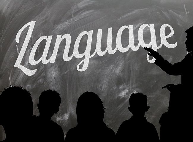 多言語文化と日本でのおうち英語育児は違う!『言語習得理論<個の発達』を活かす必要性