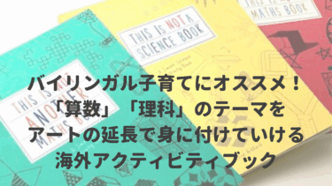 バイリンガル子育てにオススメ！「算数」「理科」のテーマをアートの延長で身に付けていく海外アクティビティブック