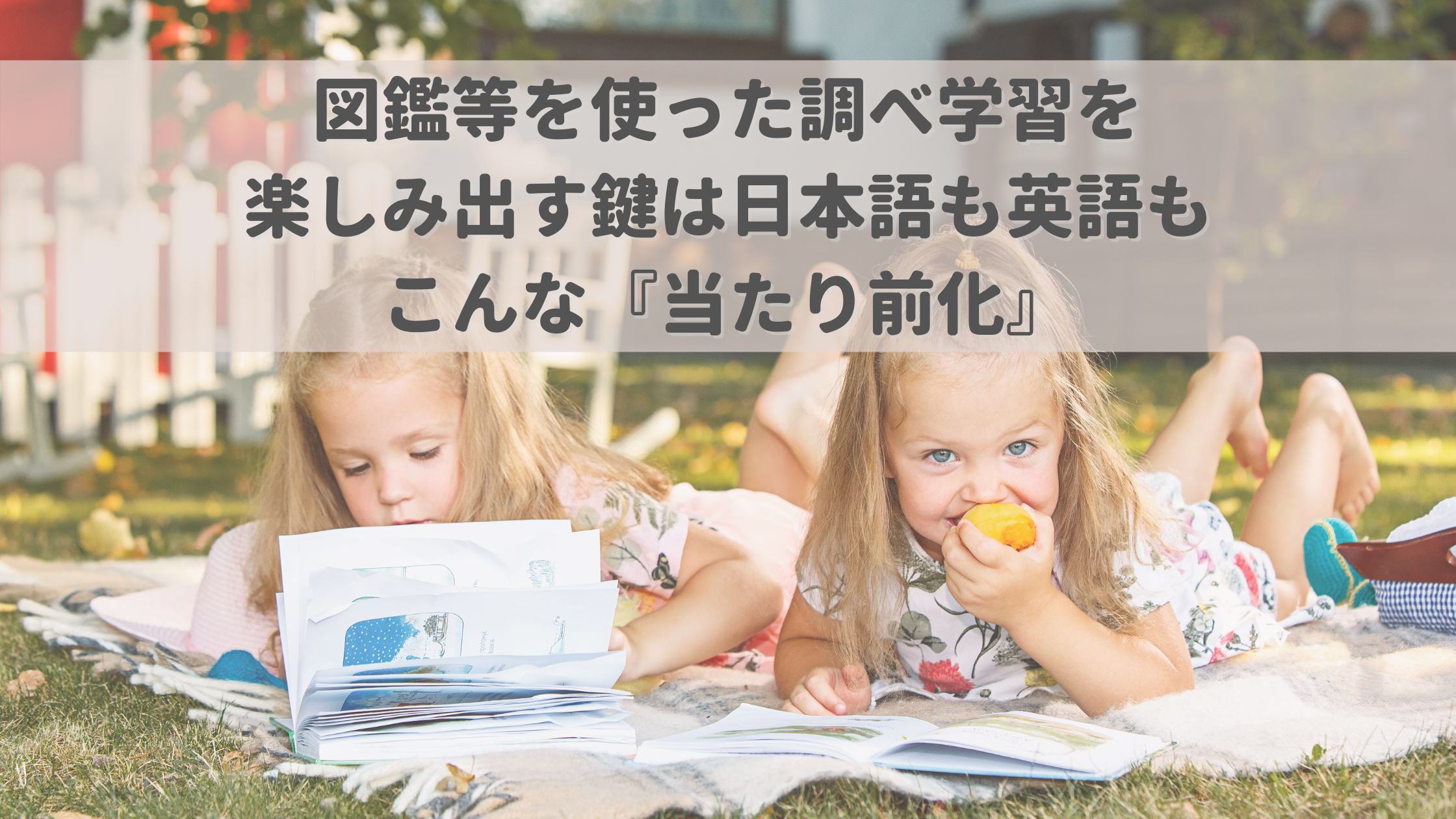 図鑑等を使った調べ学習を楽しみ出す鍵は日本語も英語もこんな 当たり前化 こどもの発達と個性を活かすからできる グローバル力も育つバイリンガル子育て